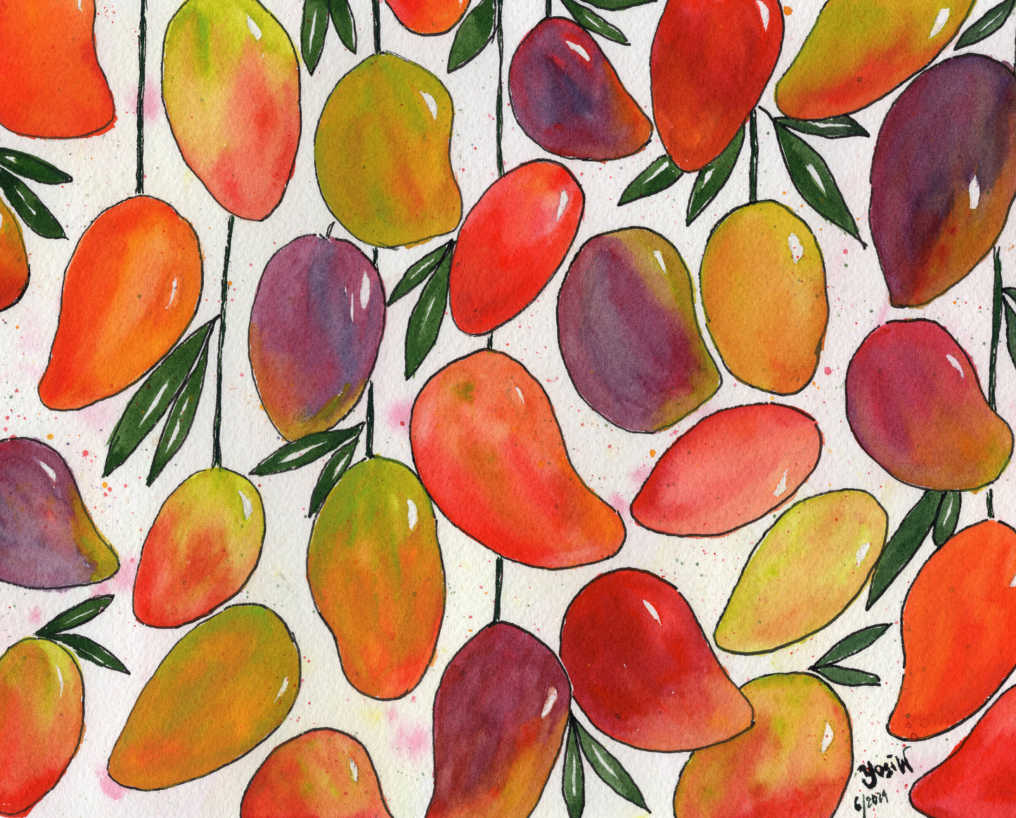 Mangoes - commission project