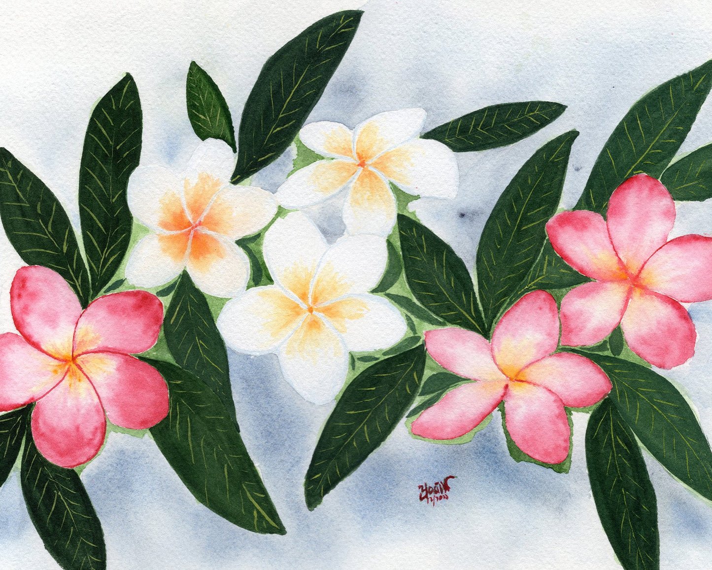 Frangipani Bloom