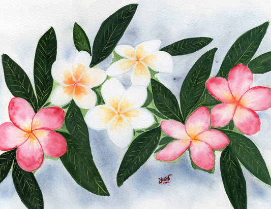 Frangipani Bloom