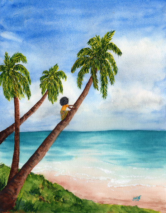 The Girl Who Climbs Coconut Trees